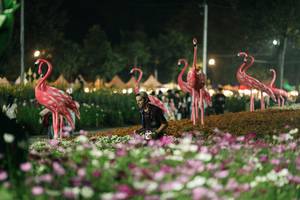 BIB: 
                            <button type="button" onclick="openModal(27337323)" class="btn btn-primary btn-sm float-right btn-popup" data-toggle="modal" data-target=".modal-high-quality">
                        <i class="fas fa-shopping-cart"></i> Add to Cart
                    </button>
                                            <button type="button" onclick="isThisMe(27337323, true)" class="btn btn-success btn-sm float-right btn-popup btn-isme hidden" data-toggle="tooltip" data-placement="bottom" title="นี่คือรูปของคุณใช่ไหม คลิกที่นี่เพื่อเอาเข้าอัลบั้ม">
                        <i class="fas fa-plus"></i> Add to album
                    </button>
                    <button type="button" onclick="isThisMe(27337323, false)" class="btn btn-warning btn-sm float-right btn-popup btn-isnotme hidden">
                        <i class="fas fa-ban"></i> Remove from album
                    </button>